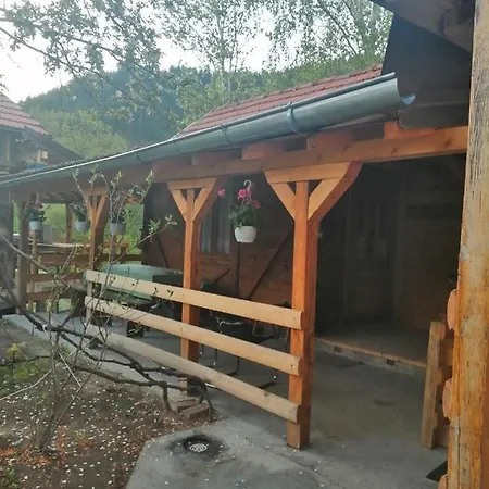 Domacinstvo Radivojevic