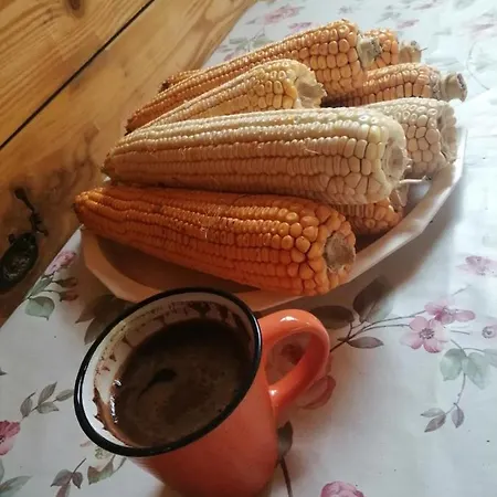 Seosko Domacinstvo Radivojevic * Kraljevo