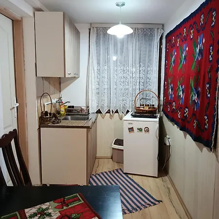 Domacinstvo Radivojevic Apartment