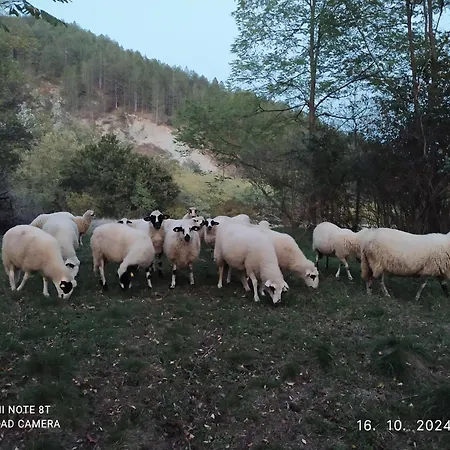 Seosko Domacinstvo Radivojevic *