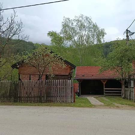 Domacinstvo Radivojevic