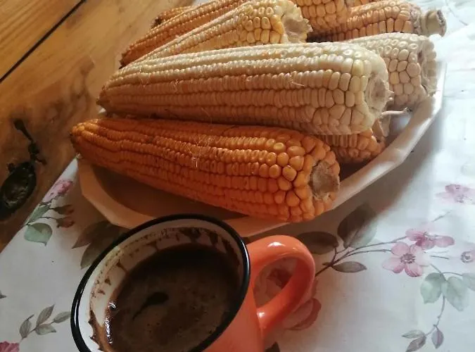 Seosko Domacinstvo Radivojevic * Kraljevo