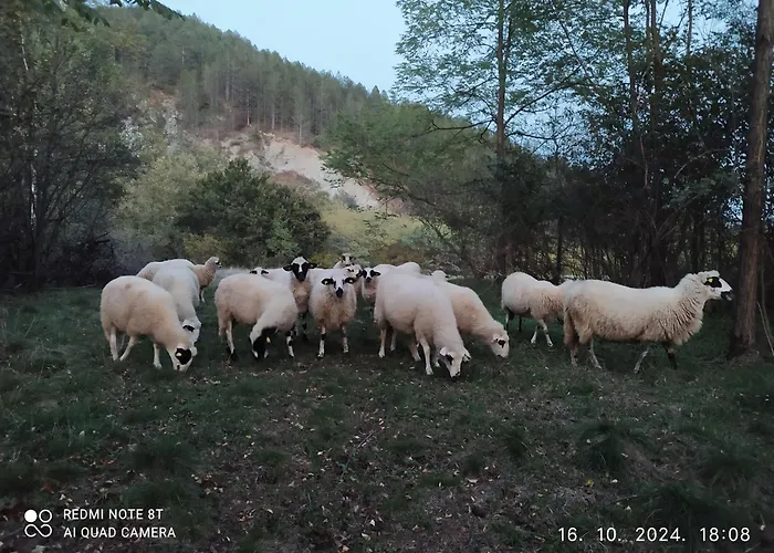 Seosko Domacinstvo Radivojevic *