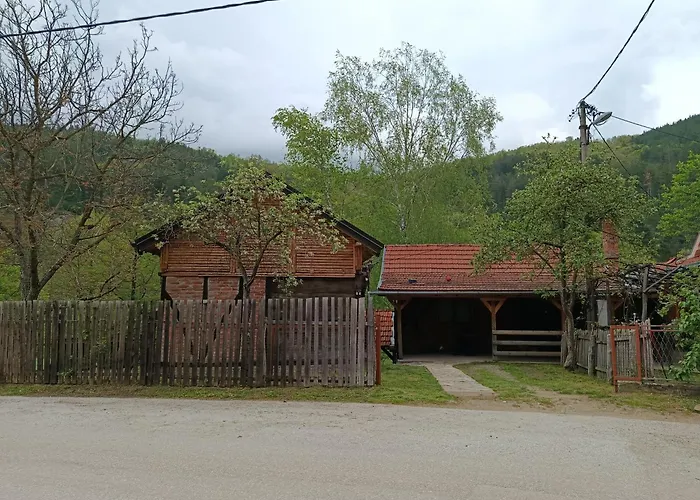 Seosko Domacinstvo Radivojevic