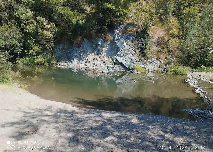 Seosko Domacinstvo Radivojevic Daire *